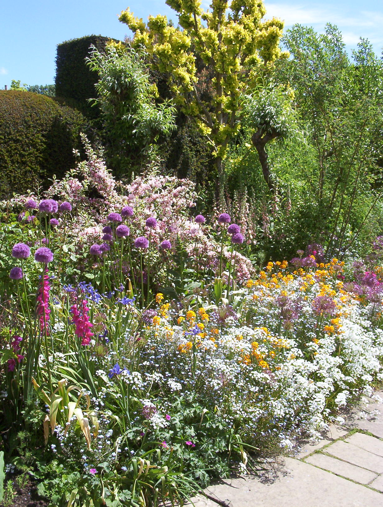 Guide to the RHS Chelsea Flower Show: Britain's Greatest Garden Event